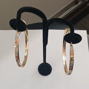 Brazilian Gold Plated Hoop Earring